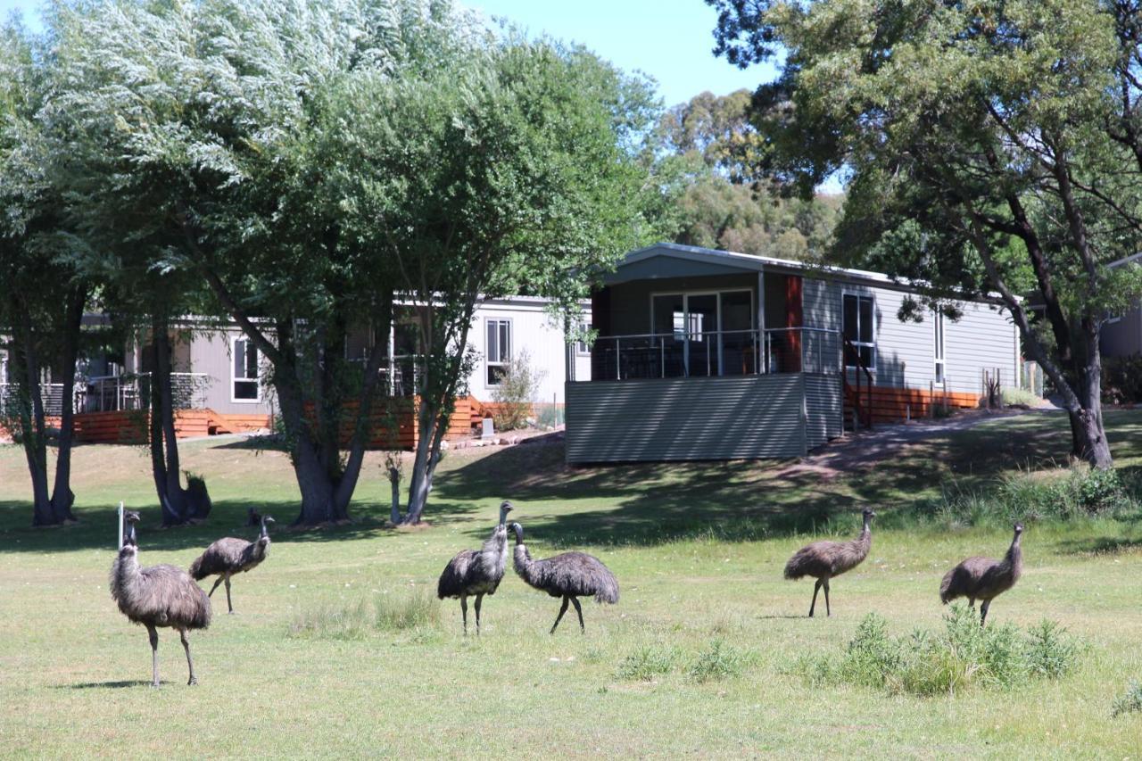 Halls Gap Lakeside Tourist Park Exterior photo